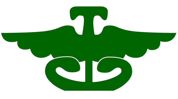 Thunder emblem